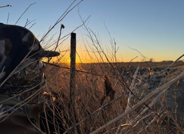 Severance, Co - Goose Hunt